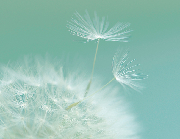 Allergies saisonnieres